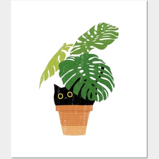 Monstera Deliciosa Posters and Art